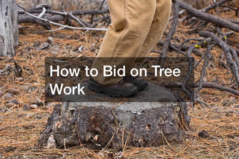 How to Bid on Tree Work
