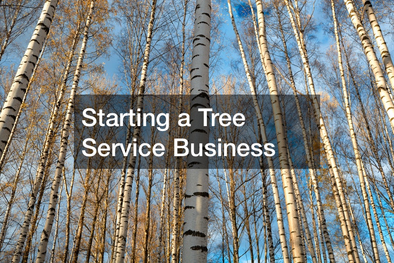 Starting a Tree Service Business