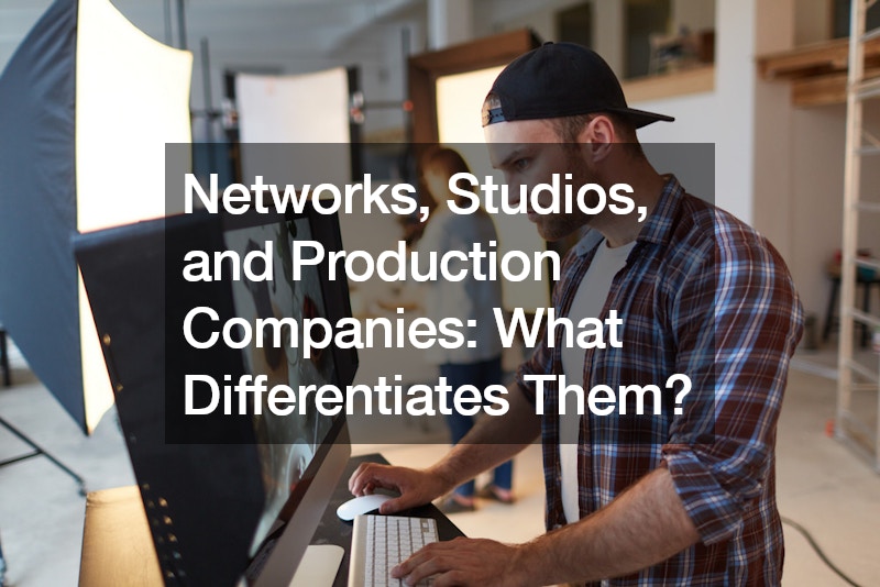 Networks, Studios, and Production Companies  What Differentiates Them?